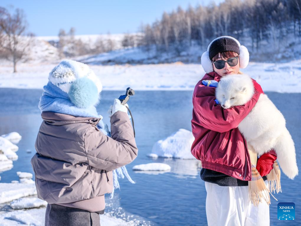 A tourist holding a fox poses for a photo by the Halha River in the city of Arxan of Hinggan League, north China's Inner Mongolia Autonomous Region, Jan. 1, 2026. Despite Arxan's frigid winter cold, this geothermally-affected section of the Halha River never freezes, which attracts great amount of tourists in winter. (Xinhua/Ma Jinrui)