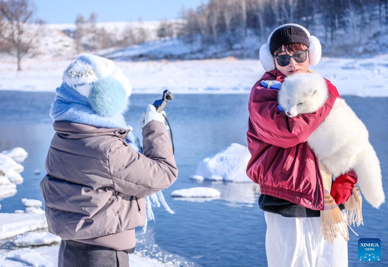 A tourist holding a fox poses for a photo by the Halha River in the city of Arxan of Hinggan League, north China's Inner Mongolia Autonomous Region, Jan. 1, 2026. Despite Arxan's frigid winter cold, this geothermally-affected section of the Halha River never freezes, which attracts great amount of tourists in winter. (Xinhua/Ma Jinrui)