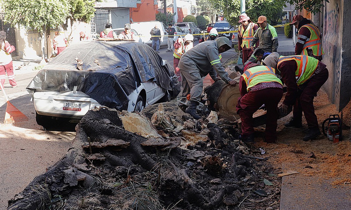 Workers remove a tree that fell onto a vehicle following an earthquake in Mexico City, Mexico, on January 2, 2026. According to the National Seismological Service, a 6.5-magnitude earthquake struck the southern state of Guerrero and was felt strongly in central Mexico, including Mexico City. Photo: VCG