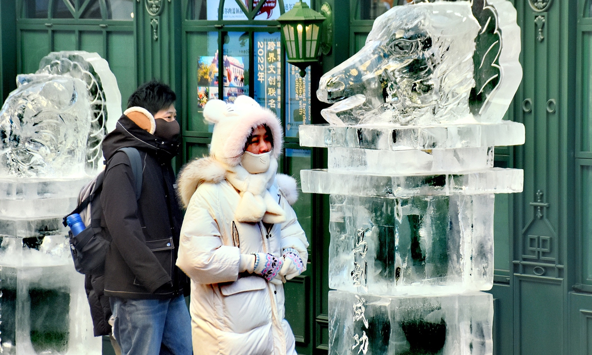 Tourists enjoy a set of zodiac-themed ice sculptures near Xiqi street, Harbin, Northeast China's Heilongjiang Province, on January 4, 2026. The province is leveraging its snow economy. Photo: VCG