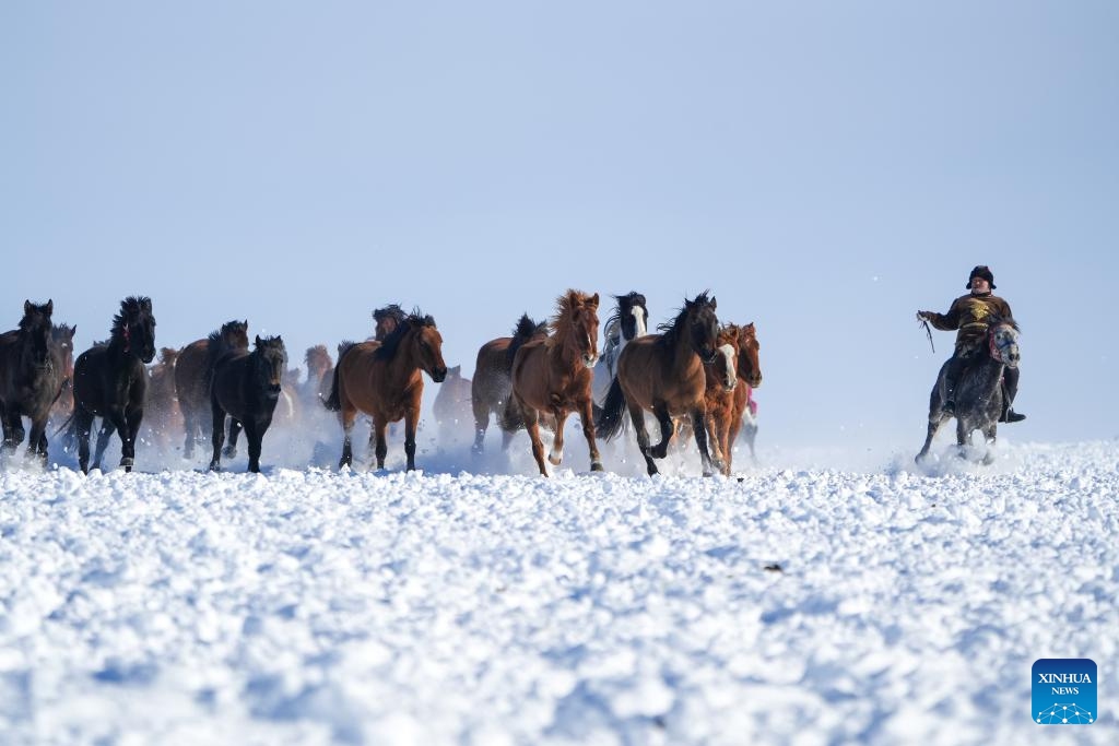 This photo taken on Jan. 3, 2026 shows a scene during a horse galloping performance at a wetland park in Zhaosu County, Ili Kazak Autonomous Prefecture, northwest China's Xinjiang Uygur Autonomous Region. Leveraging its unique ice and snow resources in winter, Zhaosu County has developed diverse winter tourist services to attract visitors. (Photo: Xinhua)