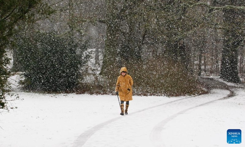 A woman walks during the snow in a park in the Hague, the Netherlands, Jan. 4, 2026. (Photo: Xinhua)