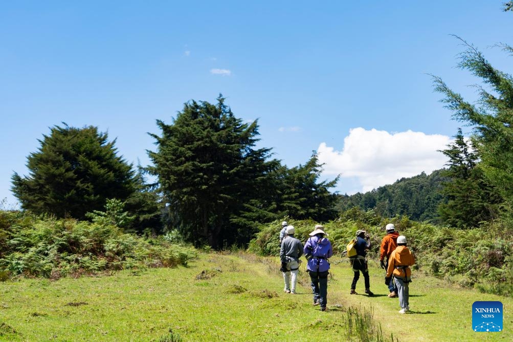 Tourists walk in a forest in Kiambu County, Kenya, Jan. 3, 2026. (Photo: Xinhua)