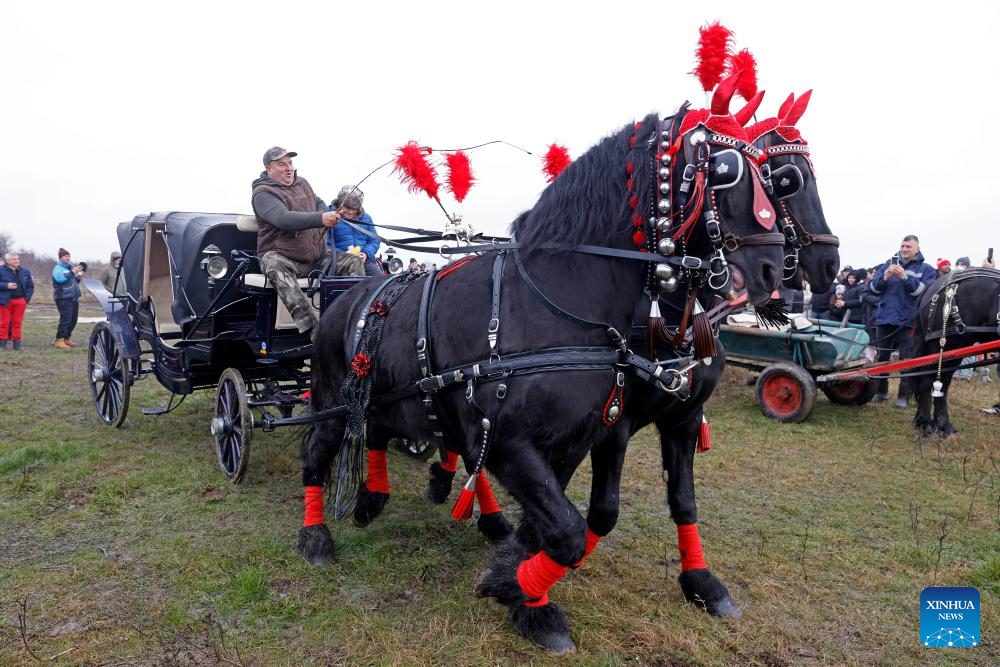 People ride in a horse-driven cart during the annual traditional Epiphany gathering in the village of Pietrosani, Romania, Jan. 6, 2026. (Photo by Cristian Cristel/Xinhua)
