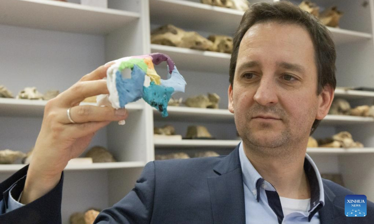 Attila Osi, a paleontologist of Eotvos Lorand University (ELTE), introduces the research findings of the Ajkaceratops Kozmai skull fossils during a press conference in Budapest, Hungary, Jan. 7, 2026. Hungarian researchers have identified a new ceratopsian dinosaur skull fossil from western Hungary, providing the strongest evidence to date that horned dinosaurs lived in Europe during the Late Cretaceous period, scientists said on Wednesday.

The fossil, attributed to Ajkaceratops Kozmai, was unearthed at the Iharkut (central Hungary) fossil site in the Bakony Mountains and studied by an international research team led by Attila Osi. The research findings were published in the scientific journal Nature. (Photo by Attila Volgyi/Xinhua)