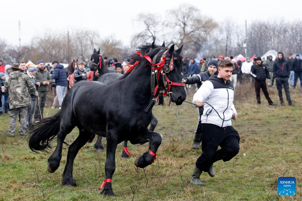 People present their decorated horse during the annual traditional Epiphany gathering in the village of Pietrosani, Romania, Jan. 6, 2026. (Photo by Cristian Cristel/Xinhua)