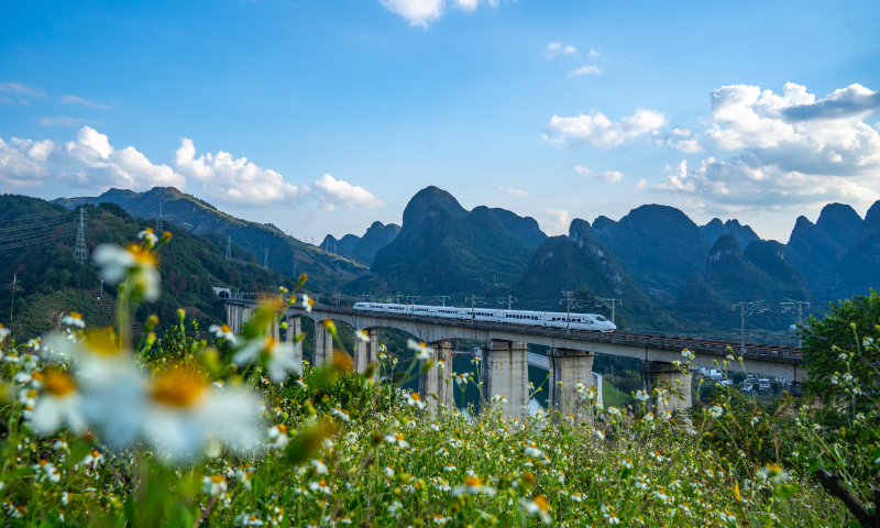 A high-speed train is seen in Yangshuo county, South China's Guangxi Zhuang Autonomous Region. File photo: VCG