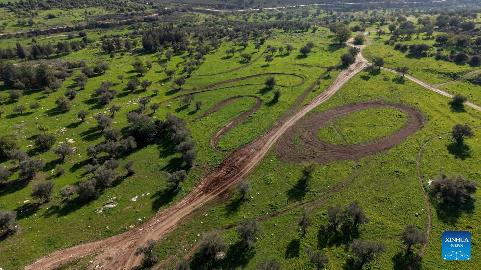 This aerial drone photo taken on Jan. 8, 2026 shows a view of Ben Shemen Forest in central Israel. Due to early-arrived and substantial winter rainfall this year, the forest has burst into vibrant life. (Photo by Gil Cohen Magen/Xinhua)
