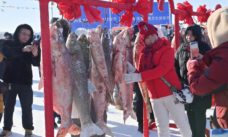 Tourists pose for photos with big fish in Songyuan, Northeast China's Jilin Province during the opening of the 24th Chagan Lake Ice and Snow Fishing and Hunting Cultural Tourism Festival on January 8, 2026. Thousands of domestic and international tourists gathered at the frozen lake to witness Chagan Lake's traditional ice fishing, an activity recognized as a national intangible cultural heritage. Photo: VCG