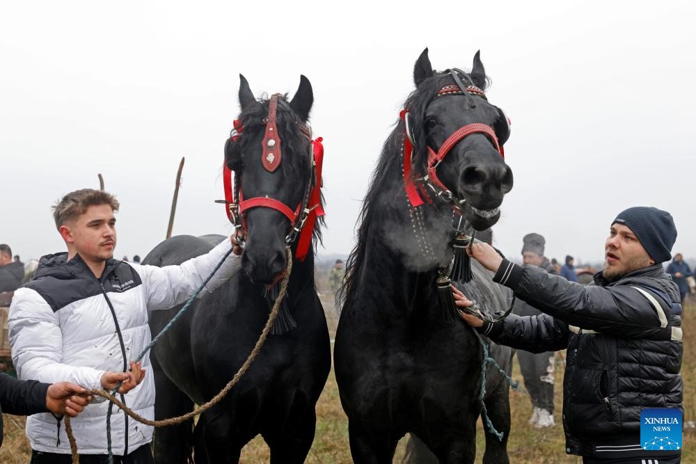 People present their decorated horses during the annual traditional Epiphany gathering in the village of Pietrosani, Romania, Jan. 6, 2026. (Photo by Cristian Cristel/Xinhua)