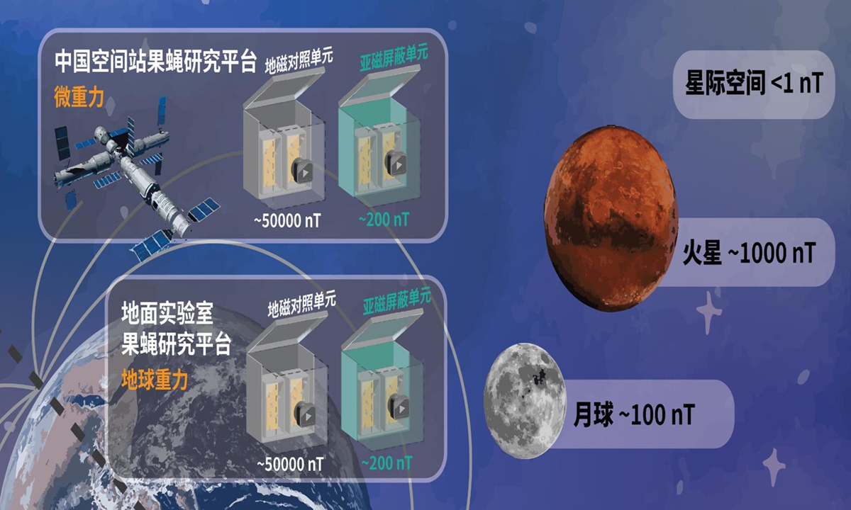 A research system for fruit fly cultivation and biological effects under a combined sub-magnetic and microgravity environment in space Photo: CCTV News