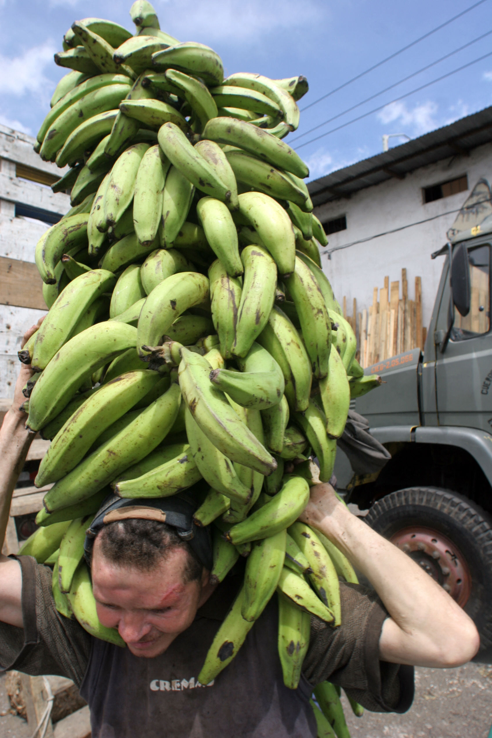 A man carries bananas on July 28, 2005, in Guatemala city the day after US Congress approved a free trade pact with Central America and the Dominican Republic. Photo: AFP