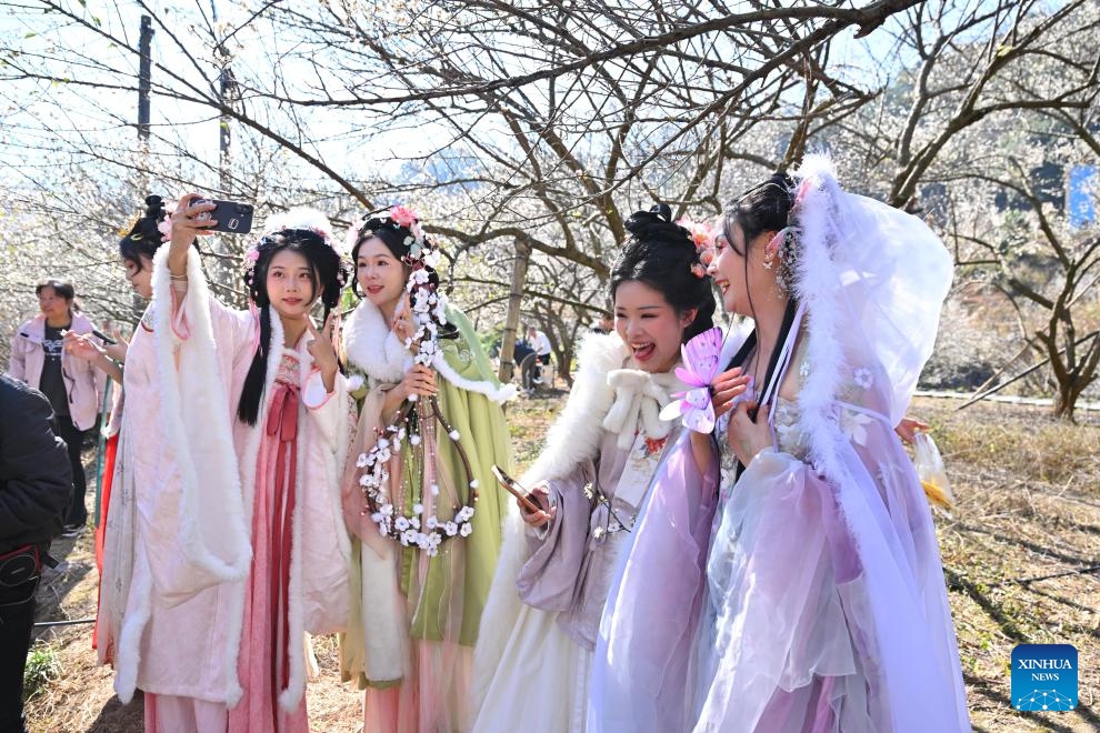 Women in Chinese traditional attires take selfies at a plum blossom garden in Yongtai County, southeast China's Fujian Province, Jan. 10, 2026. The annual plum blossom festival kicked off here on Saturday and is expected to promote local tourism and present the natural beauty of the county through various cultural activities. (Photo: Xinhua)