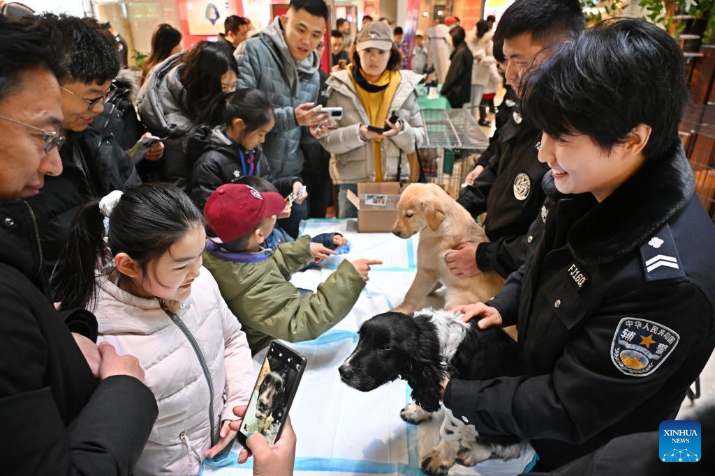 Citizens interact with police dog pups in Qingdao, east China's Shandong Province, Jan. 10, 2026. Various activities were held nationwide to mark the sixth Chinese People's Police Day. (Photo: Xinhua)