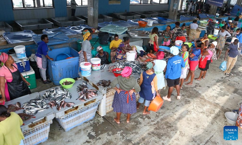This photo taken on Jan. 10, 2026 shows a view of the Praia Fishing Complex in Praia, capital of Cape Verde. Cape Verde is an island country located in the Atlantic Ocean off the west coast of Africa, endowed with abundant marine resources. Fisheries play a vital role in the national economy and livelihoods, serving as a key source of employment, food supply and income. (Photo: Xinhua)