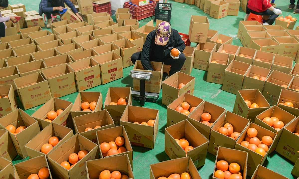 Workers sort and package navel oranges at a distribution center in Dao county, Central China's Hunan Province on January 11, 2026. Earlier, to express gratitude for receiving support, the local football fans association delivered more than 5,200 boxes of navel oranges to cities in Jiangsu Province and Huangshi City in Hubei Province. The oranges generated repeat purchase orders. The distribution center makes every effort to ensure a steady supply of oranges to various locations in Jiangsu. Photo: VCG