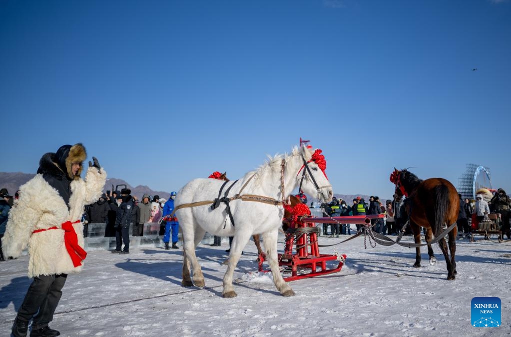 Horses draw a winch for net-hauling during the 4th Hasuhai Lake winter fishing festival in Tumd Left Banner of Hohhot, north China's Inner Mongolia Autonomous Region, Jan. 10, 2026. The 4th Hasuhai Lake winter fishing festival opened in Tumd Left Banner of Hohhot on Saturday. The activity features ice and snow entertainment, hot spring experience, delicious food and folk shows, attracting many citizens and tourists. (Photo: Xinhua)