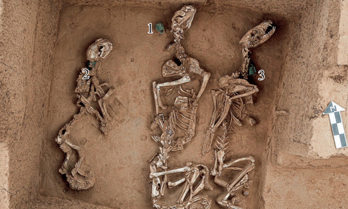 3,000-year-old 'wildlife park' discovered at Yinxu Ruins