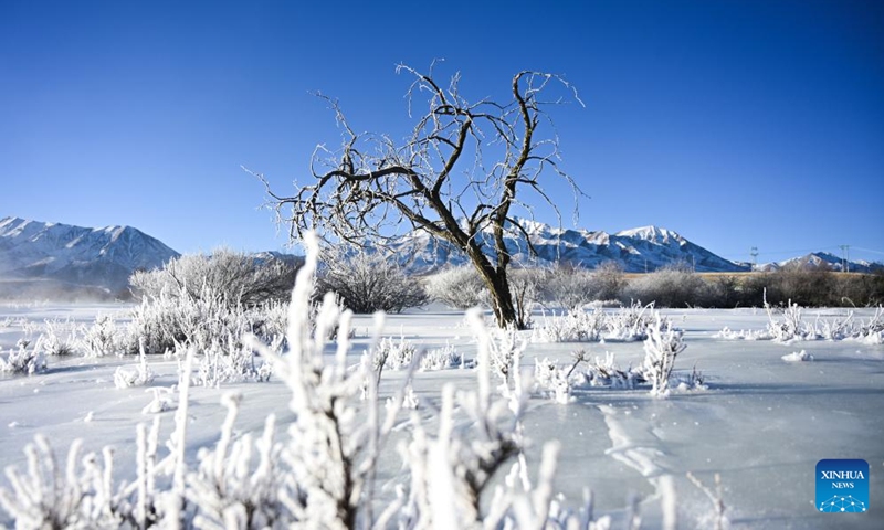 This photo taken on Jan. 10, 2026 shows the rime scenery in Qilian County of Haibei Tibetan Autonomous Prefecture, northwest China's Qinghai Province. (Photo: Xinhua)