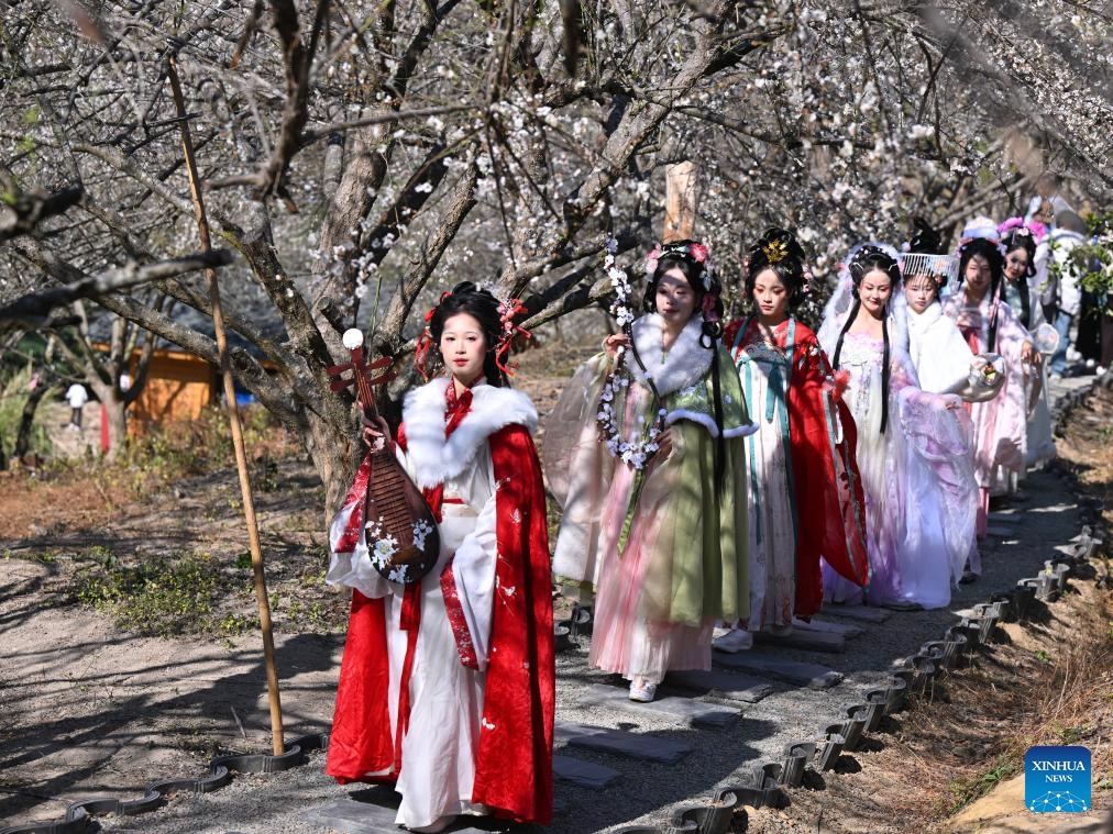 Women in Chinese traditional attires visit a plum blossom garden in Yongtai County, southeast China's Fujian Province, Jan. 10, 2026. The annual plum blossom festival kicked off here on Saturday and is expected to promote local tourism and present the natural beauty of the county through various cultural activities. (Photo: Xinhua)