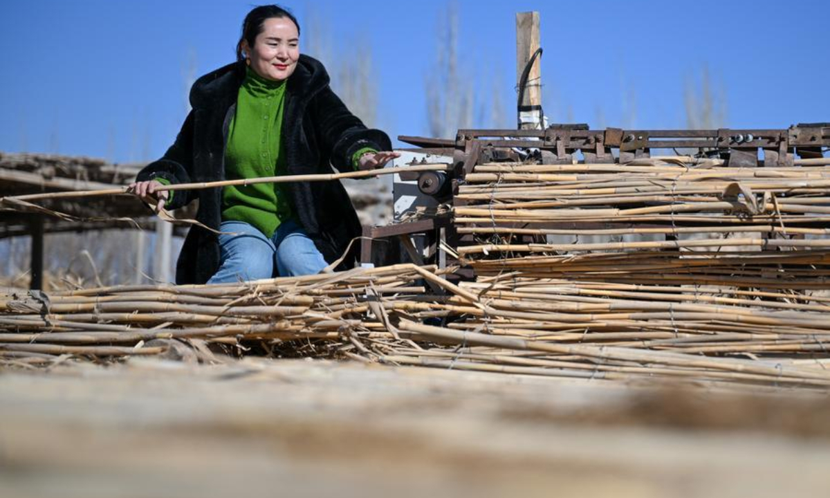 A local farmer makes tall-standing sand barriers in Moyu County, Hotan Prefecture, northwest China's Xinjiang Uygur Autonomous Region, on Jan. 10, 2026. (Xinhua/Ding Lei)
