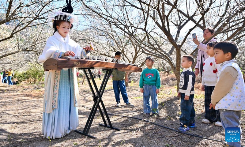 Tourists watch a performer in Chinese traditional attire playing Guzheng, a traditional Chinese plucked string instrument, in Yongtai County, southeast China's Fujian Province, Jan. 10, 2026. The annual plum blossom festival kicked off here on Saturday and is expected to promote local tourism and present the natural beauty of the county through various cultural activities. (Photo: Xinhua)