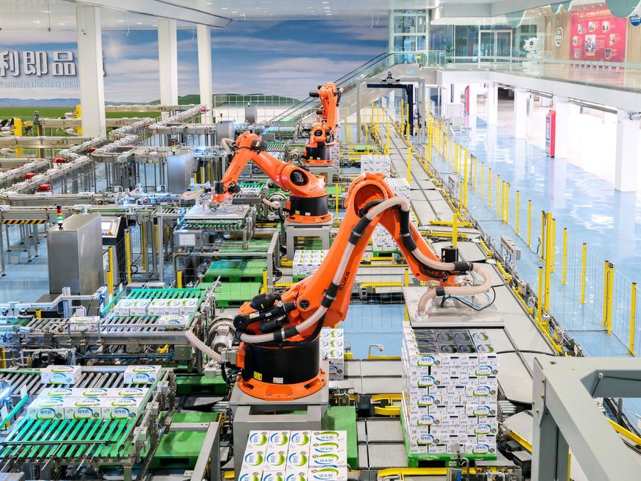 Robotic arms carry out packaging operation at the Global Intelligent Manufacturing Industrial Park of Yili Modern Intelligent Health Valley in Tumd Left Banner in Hohhot, north China's Inner Mongolia Autonomous Region, April 17, 2025. (Photo: Xinhua)