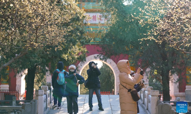 Visitors enjoy wintersweet blossoms at the Wofo Temple in Beijing, capital of China, Jan. 10, 2026. (Photo: Xinhua)
