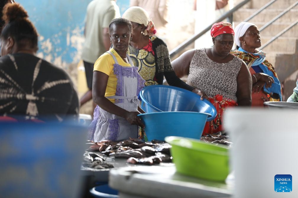 Vendors work at the Praia Fishing Complex in Praia, capital of Cape Verde, on Jan. 10, 2026. Cape Verde is an island country located in the Atlantic Ocean off the west coast of Africa, endowed with abundant marine resources. Fisheries play a vital role in the national economy and livelihoods, serving as a key source of employment, food supply and income. (Photo: Xinhua)