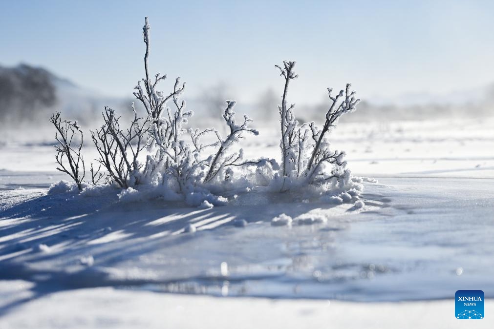 This photo taken on Jan. 10, 2026 shows the rime scenery in Qilian County of Haibei Tibetan Autonomous Prefecture, northwest China's Qinghai Province. (Photo: Xinhua)