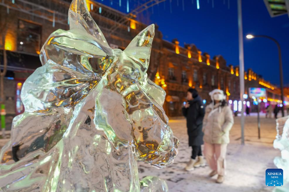 Tourists visit the Chinese Baroque Historic and Cultural Block in Harbin, northeast China's Heilongjiang Province, Jan. 13, 2026. Harbin is a major winter tourism destination in northeast China. The city's Chinese Baroque Historic and Cultural Block is attracting an increasing number of visitors. The century-old architectural complex, a fusion of Chinese and Western styles, displays a unique charm as the ice and snow season peaks. (Xinhua/Wang Jianwei)