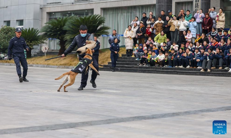 A police officer trains a police dog at a public security bureau in Yuping Dong Autonomous County, southwest China's Guizhou Province, Jan. 10, 2026. Various activities were held nationwide to mark the sixth Chinese People's Police Day. (Photo: Xinhua)