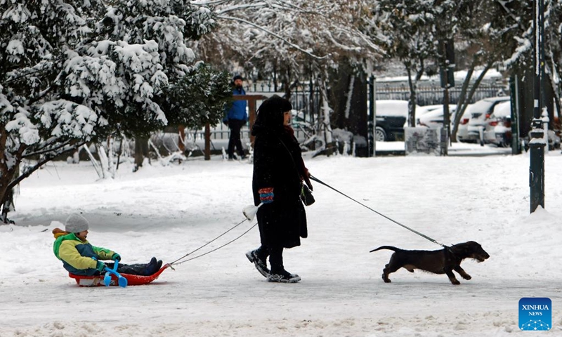 A woman walks with her dog and pulls a sledge carrying her child amid snowfall at a park in Bucharest, Romania, on Jan. 11, 2026. Romania is facing a severe winter episode, with snowfall, blizzards, persistent frost and extremely low temperatures in large parts of the country. Photo: Xinhua