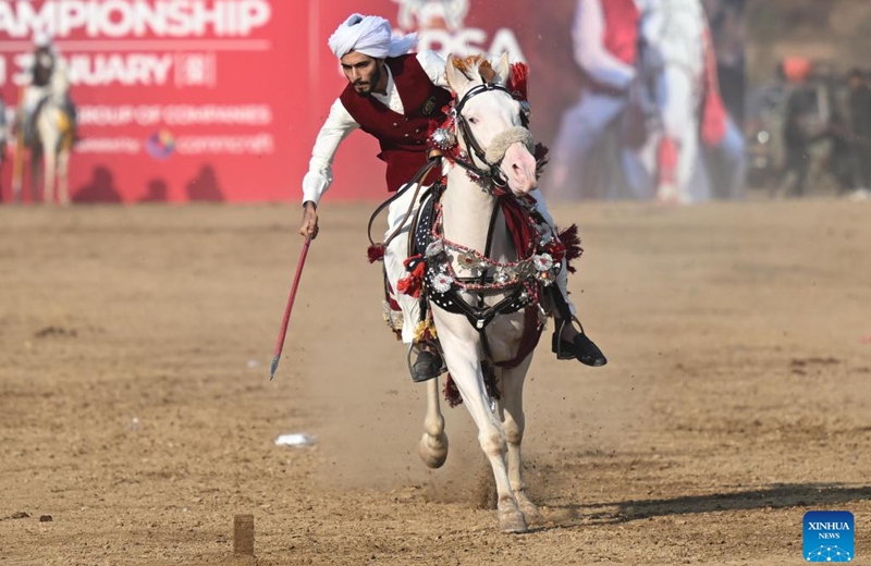A rider competes during a tent pegging competition in Islamabad, Pakistan, Jan. 11, 2026. In tent pegging, a horseman gallops and uses a sword or a lance to pierce, pick up and carry away a wooden peg. Photo: Xinhua