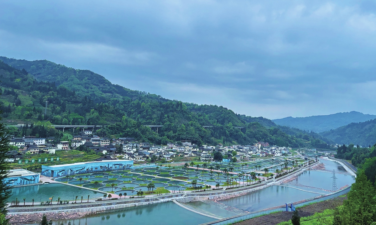 A view of the sturgeon aquaculture base operated by Sichuan Runzhao Fisheries Co in Ya'an, Southwest China's Sichuan Province File photo: Courtesy of Sichuan Runzhao Fisheries Co 