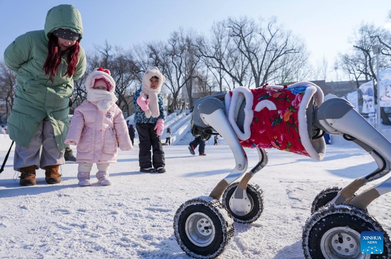 People view a robotic dog on the frozen surface of the Songhua River in Harbin, northeast China's Heilongjiang Province, Jan. 11, 2026. The surface of the Harbin section of Songhua River, now solidly frozen, serves as a fun field, where locals and tourists alike enjoy themselves with ice-and-snow-themed amusements. (Xinhua/Wang Jianwei)