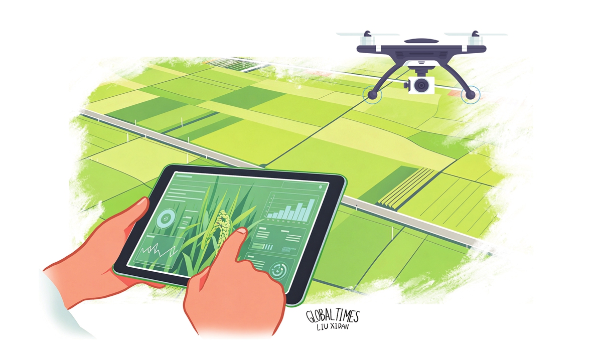 Illustration: Liu Xidan/GT