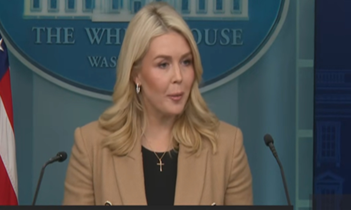 Screenshot from a Youtube video on White House spokesperson briefing on January 15, 2026. 