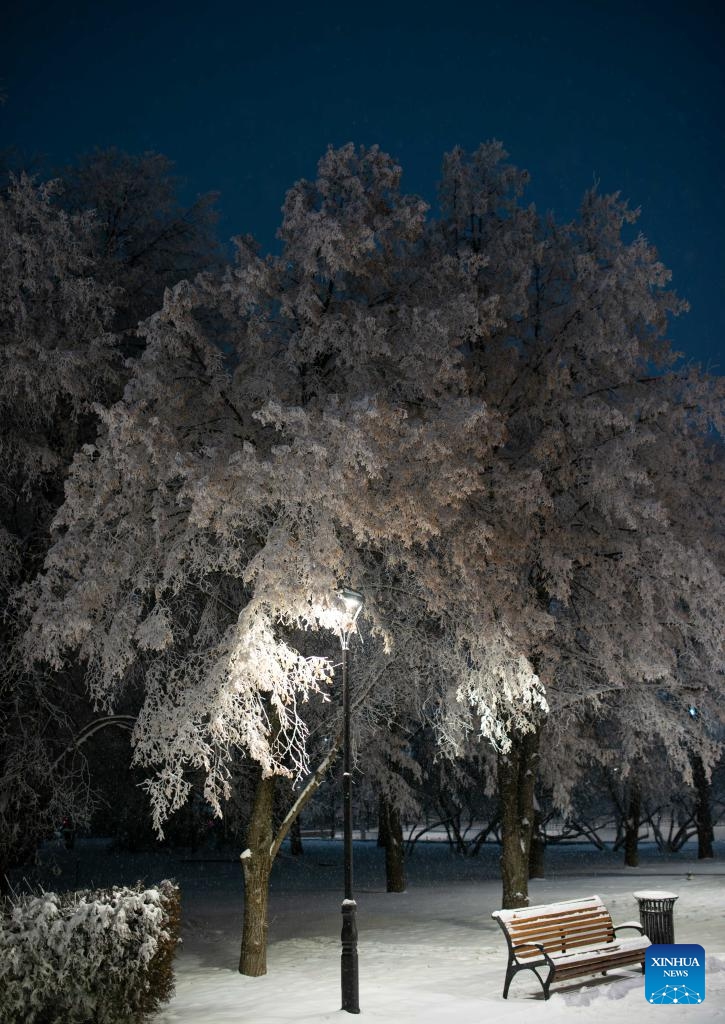 Photo taken on Jan. 16, 2026 shows the rime scenery in downtown Almaty, Kazakhstan. (Photo: Xinhua)