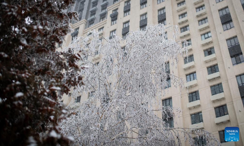 Photo taken on Jan. 16, 2026 shows the rime scenery in downtown Almaty, Kazakhstan. (Photo: Xinhua)