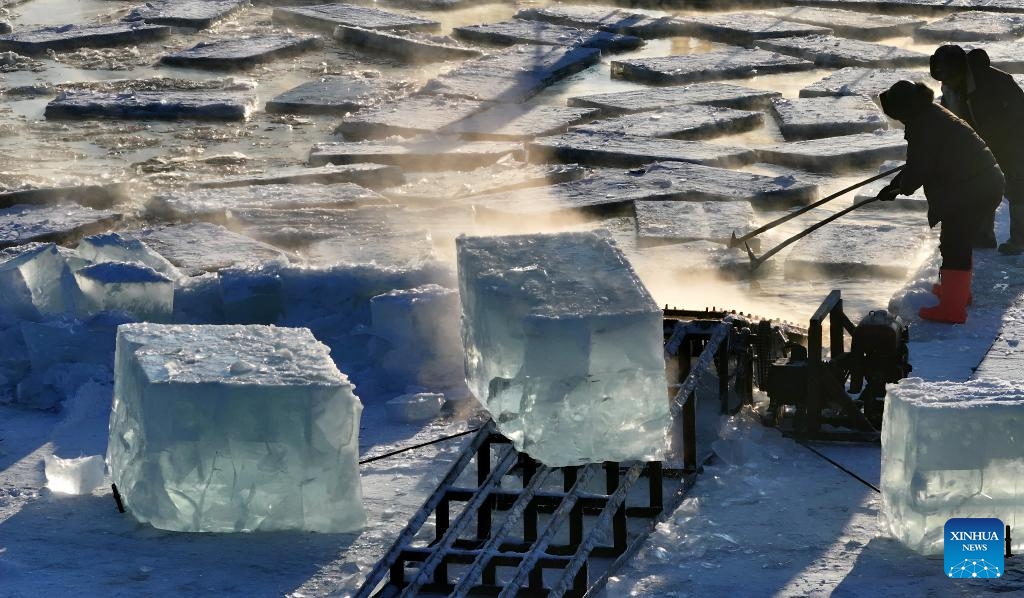 A drone photo taken on Jan. 17, 2026 shows workers collecting ice cubes from the Songhua River in Harbin, northeast China's Heilongjiang Province. While the Harbin Ice-Snow World is still in full swing receiving visitors, ice collection and storage work for the next season has already kicked off on the Songhua River not far from the amusement park. (Photo: Xinhua)