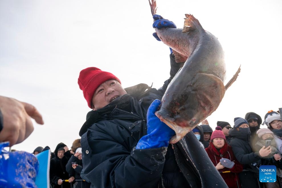 A fisherman shows off his catch during the 2026 Xingkai Lake winter fishing festival at Xingkai Lake in northeast China's Heilongjiang Province, Jan. 17, 2026. The festival was kicked off on Saturday on the shore of Xingkai Lake, a boundary lake between China and Russia, presenting a fully-integrated immersive experience in folk arts, sports and amusements for visitors. (Photo: Xinhua)