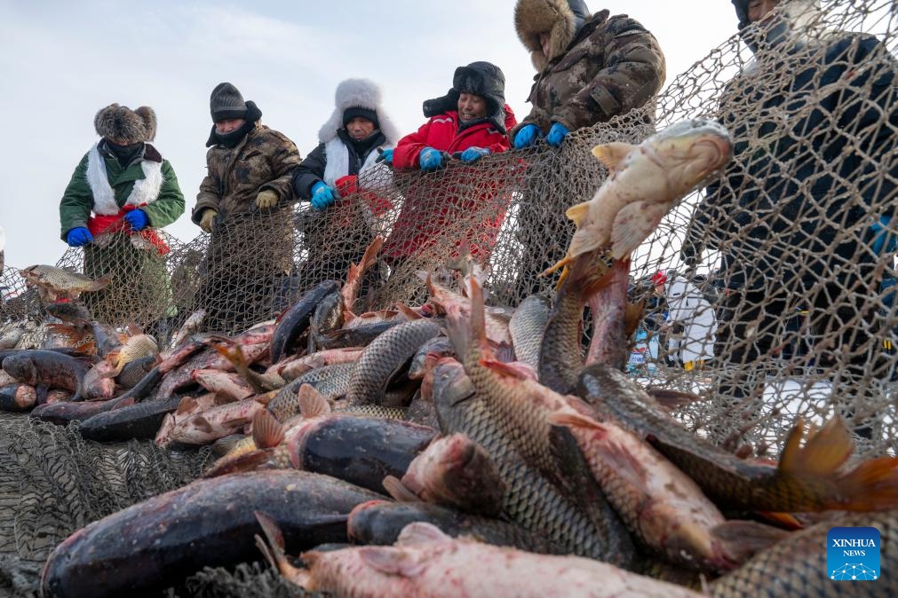 Fishermen haul a fishing net out of the frozen surface of the lake during the 2026 Xingkai Lake winter fishing festival at Xingkai Lake in northeast China's Heilongjiang Province, Jan. 17, 2026. The festival was kicked off on Saturday on the shore of Xingkai Lake, a boundary lake between China and Russia, presenting a fully-integrated immersive experience in folk arts, sports and amusements for visitors. (Photo: Xinhua)