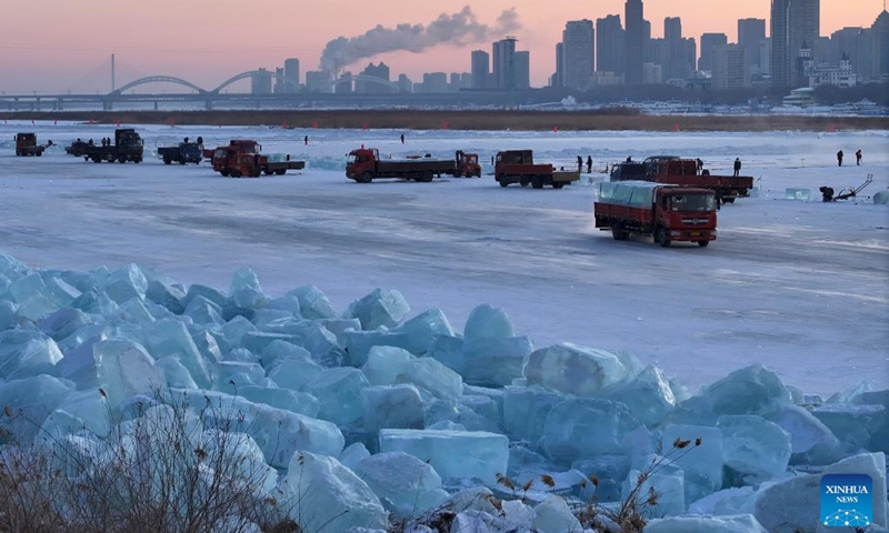 A drone photo taken on Jan. 17, 2026 shows a truck delivering ice cubes collected from the Songhua River to the ice storage rink of the Harbin Ice-Snow World in Harbin, northeast China's Heilongjiang Province. While the Harbin Ice-Snow World is still in full swing receiving visitors, ice collection and storage work for the next season has already kicked off on the Songhua River not far from the amusement park. (Photo: Xinhua)
