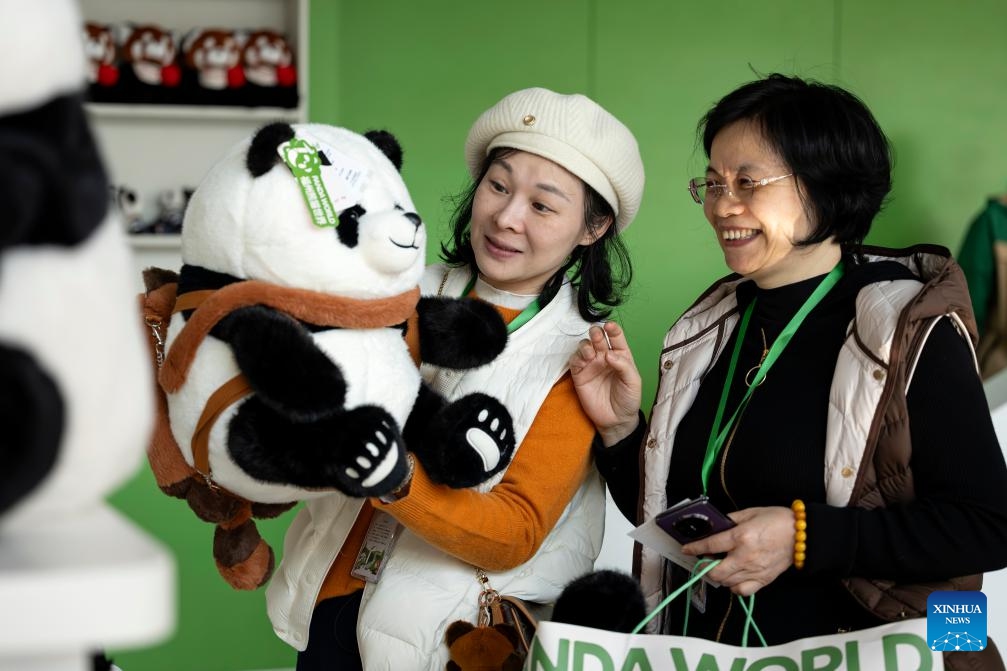 Tourists purchase panda-themed merchandise at the Panda World in Fuzhou, southeast China's Fujian Province on Jan. 17, 2026. Five giant pandas, arriving from Chengdu, met the public at the reopened Fuzhou Panda World on Saturday, following a 20-day adaptation period. (Photo: Xinhua)