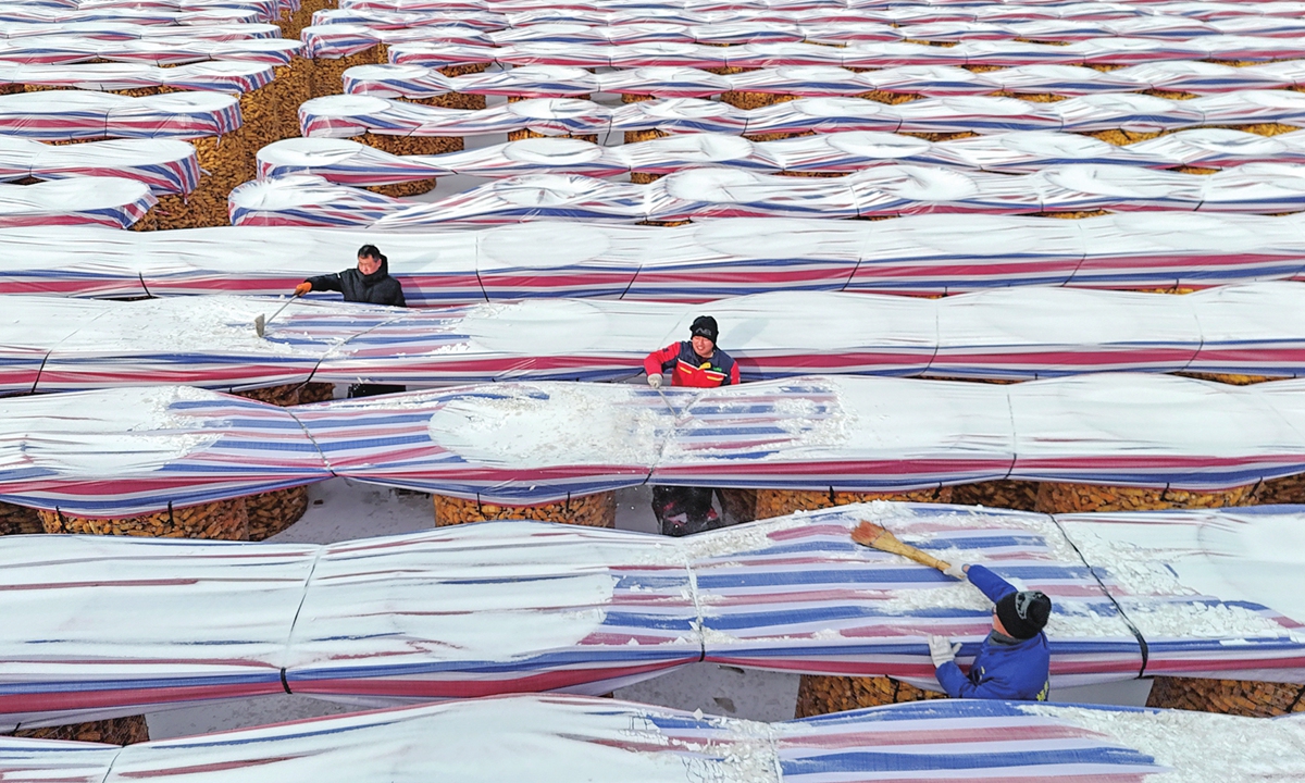 Farmers clear snow from tarpaulins covering piles of corn in Binzhou, East China's Shandong Province, on January 19, 2026. A fresh cold wave sweeps northern China, bringing sharp temperature drops, snowfall and strong winds, as authorities take measures to safeguard production and daily life nationwide. Photo: cnsphoto
