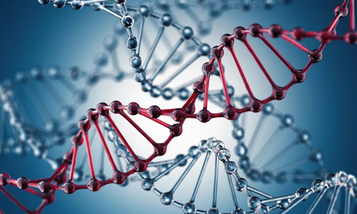 Photo: China’s Ministry of State Security (MSS)