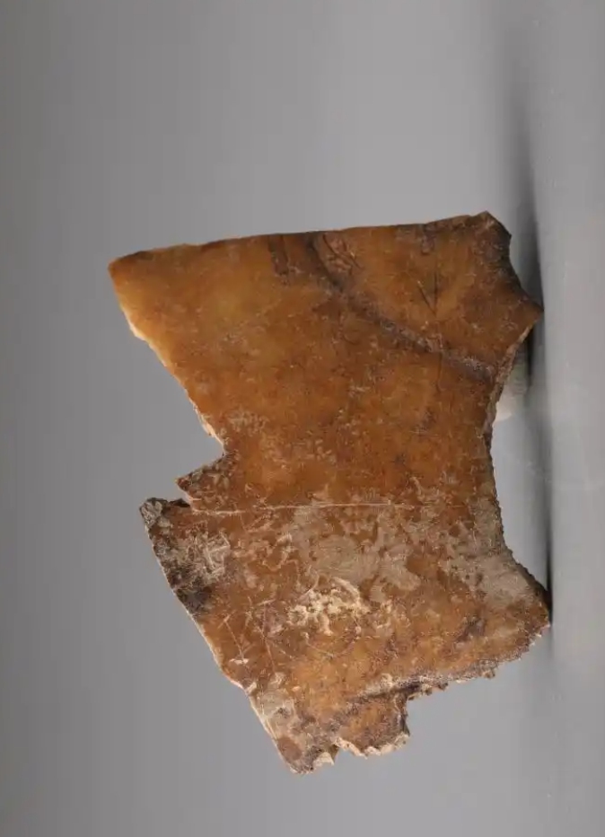 Photo: Courtesy of the excavation team