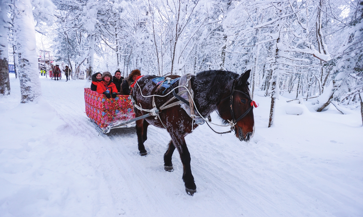 Visitors experience horse-drawn sleigh rides in Helong, Northeast China's Jilin Province, on January 17, 2026. Photos on this page: VCG