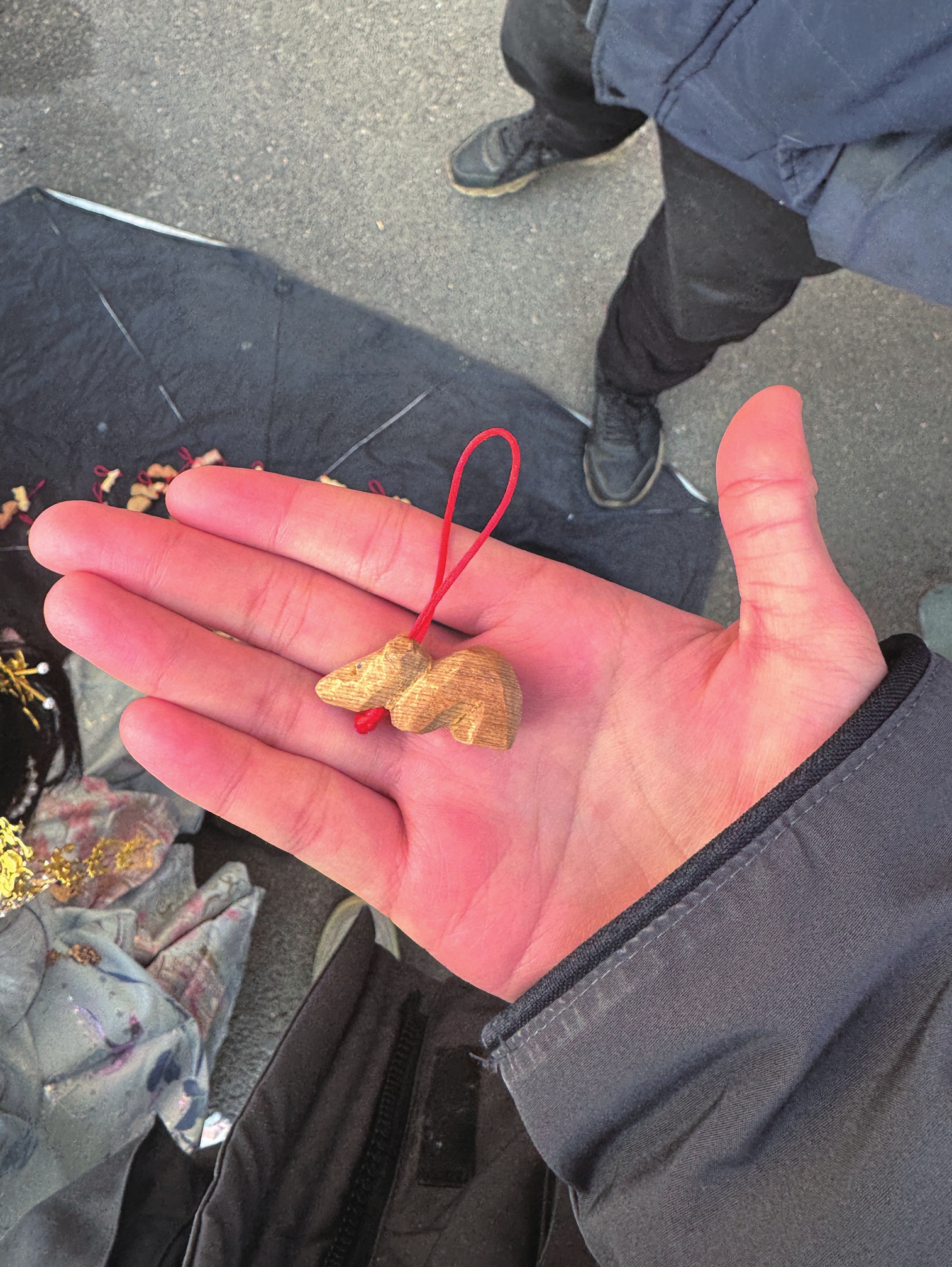Hu Maoying's wood carving of a pig 